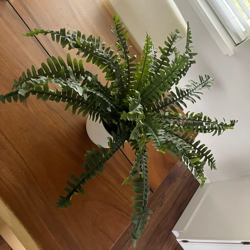 New IKEA large faux fern